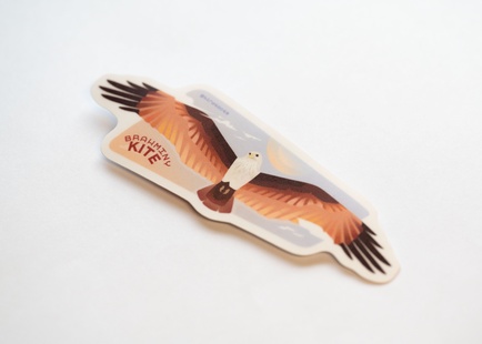 Brahminy Kite Sticker [Raptors of SG]