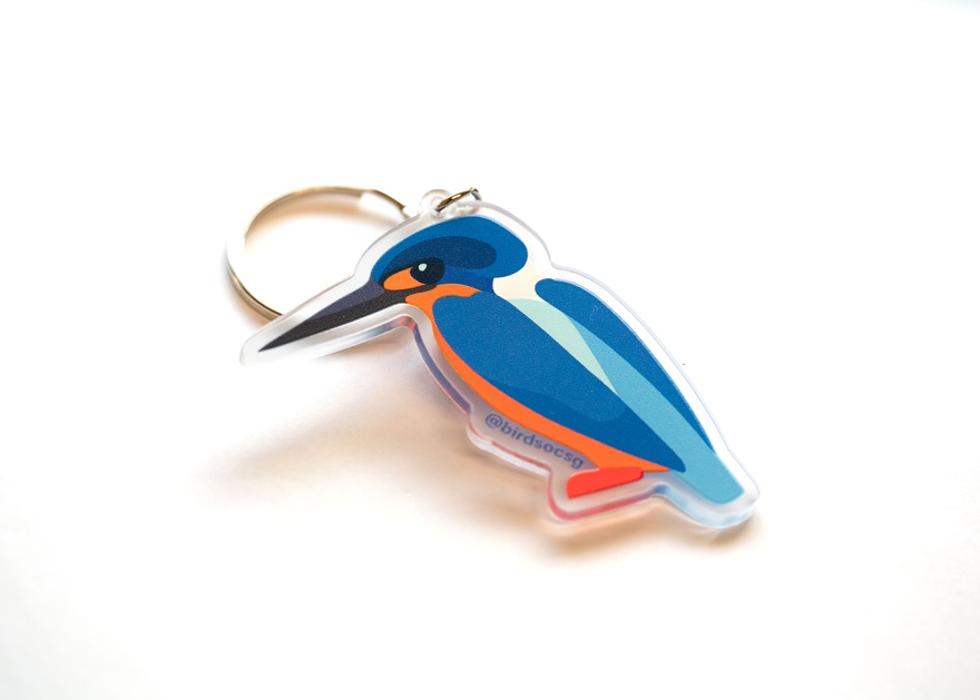 Blue-eared Kingfisher Keychain [Terrestrial Birds of SG]